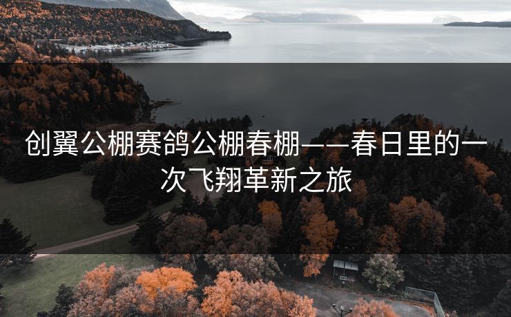 创翼公棚赛鸽公棚春棚——春日里的一次飞翔革新之旅