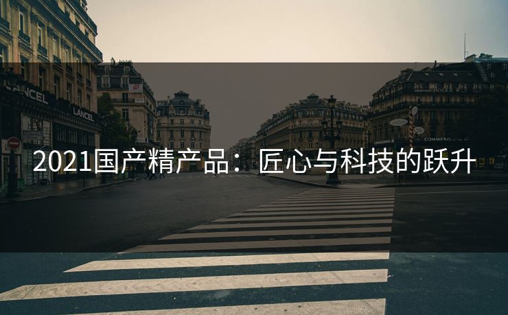 2021国产精产品：匠心与科技的跃升